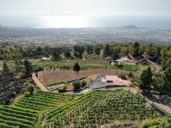 Visita guiada a viñedos ecológicos con cata de vinos.